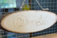 basic_cili_1