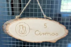 standard_cirmos_1