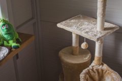 standard_cirmos_5-scaled