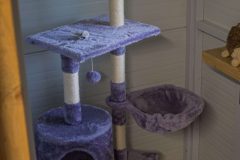 standard_csopi_2-scaled
