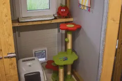 basic_kormi_3-scaled