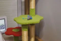 basic_kormi_4-scaled