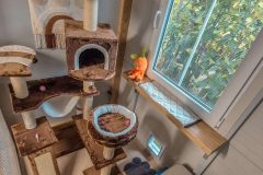 premium_mirci_2-scaled